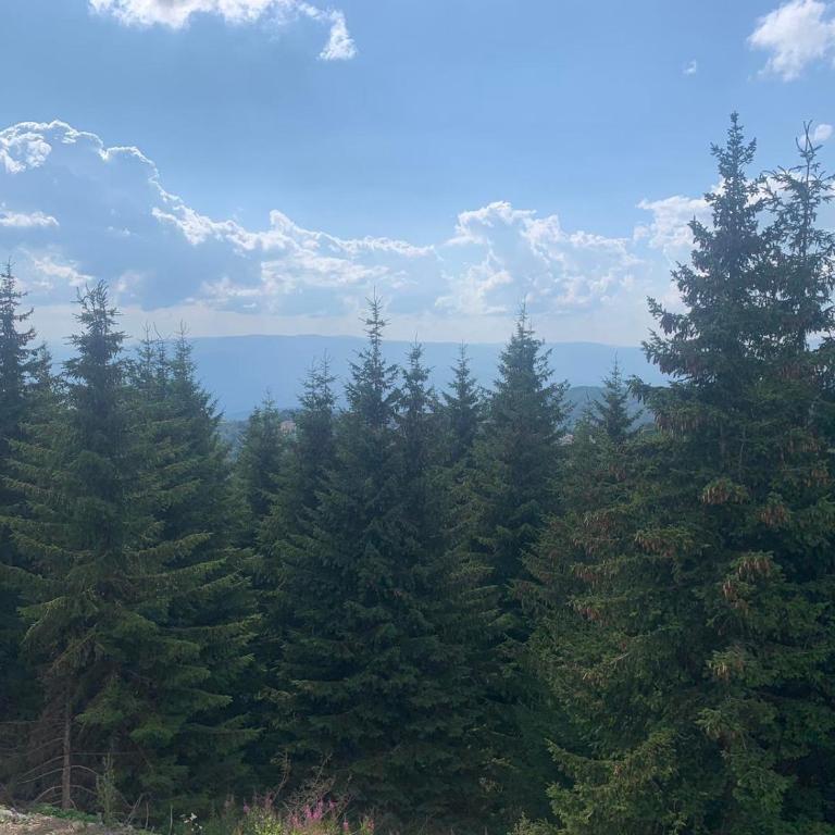Sunčani Breg Resort&Spa Kopaonik, Apartman broj 409 - One-Bedroom Apartment - 4