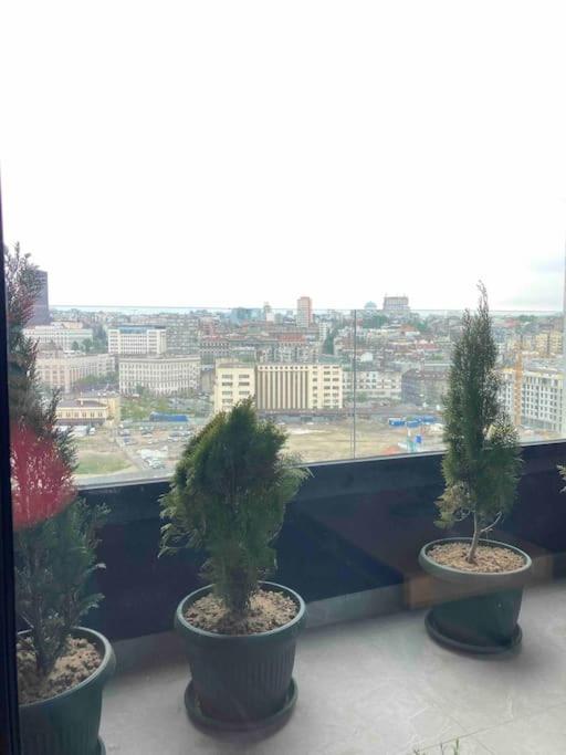 BW Rustic - Apartman sa 1 Spavaćom Sobom - 32