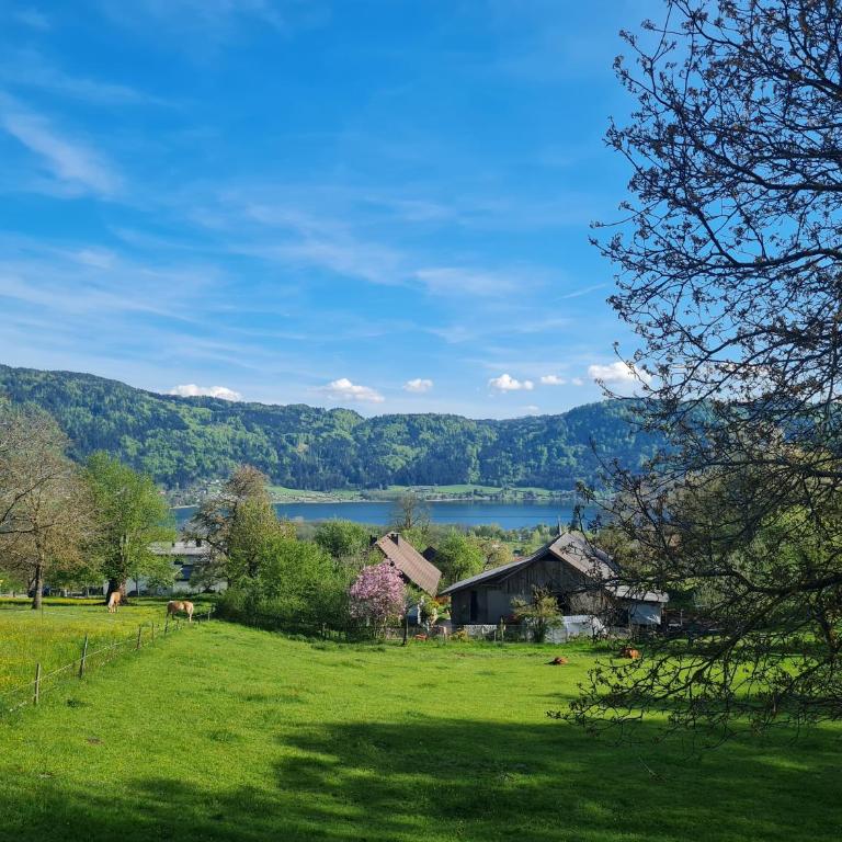 Aparts Lakeview -Gerlitzen -Ossiacher See -Ski - Apartment mit Seeblick - 9