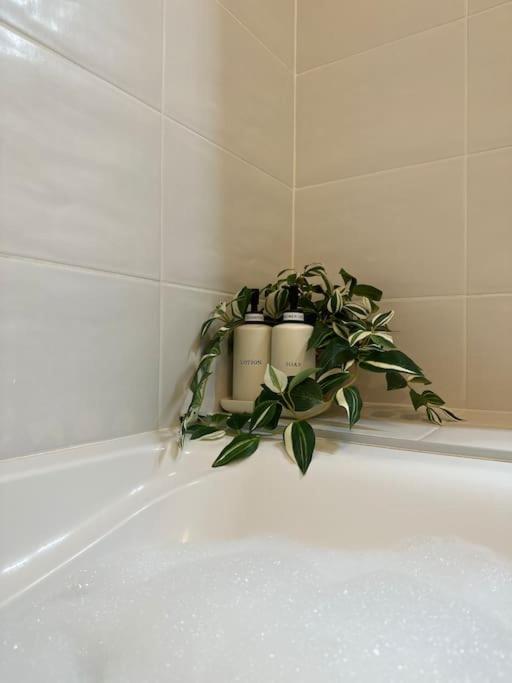 Jungle Suite - Moderne & Spacieux - Appartamento con 1 Camera da Letto - 7