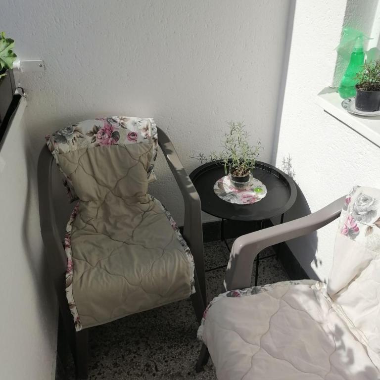 Flowers Apartment Tuzla - Apartman sa 1 Spavaćom Sobom - 23