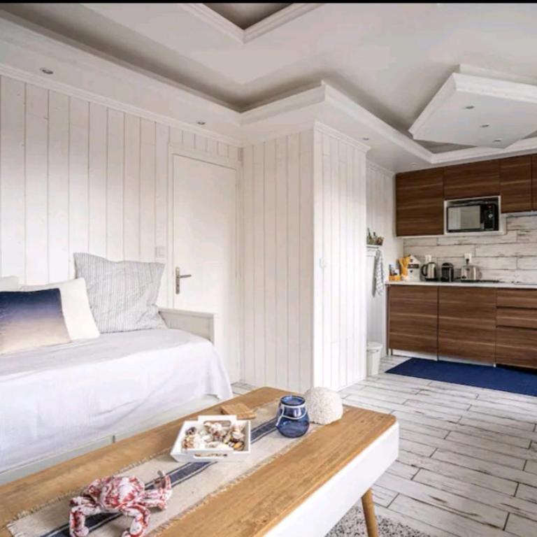 Deauville : magnifique studio en face du Casino ! - Appartement 1 Chambre - 17