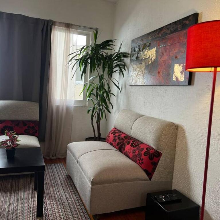 Muy Bonito departamento para 4 en Condesa CDMX - Apartamento de 2 dormitorios - 16