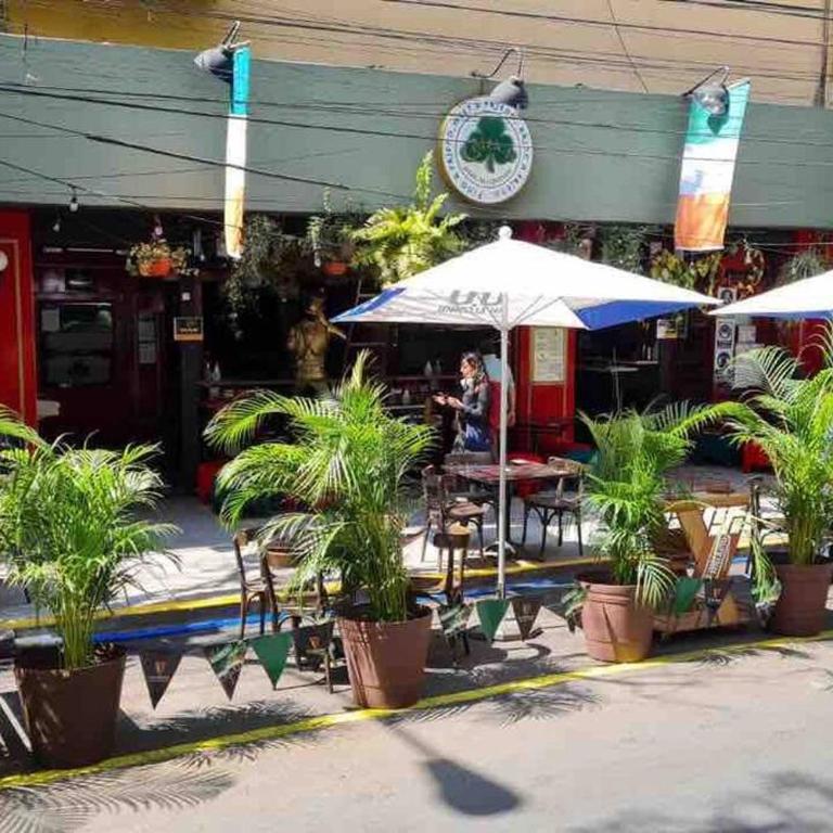 Muy Bonito departamento para 4 en Condesa CDMX - Apartamento de 2 dormitorios - 23
