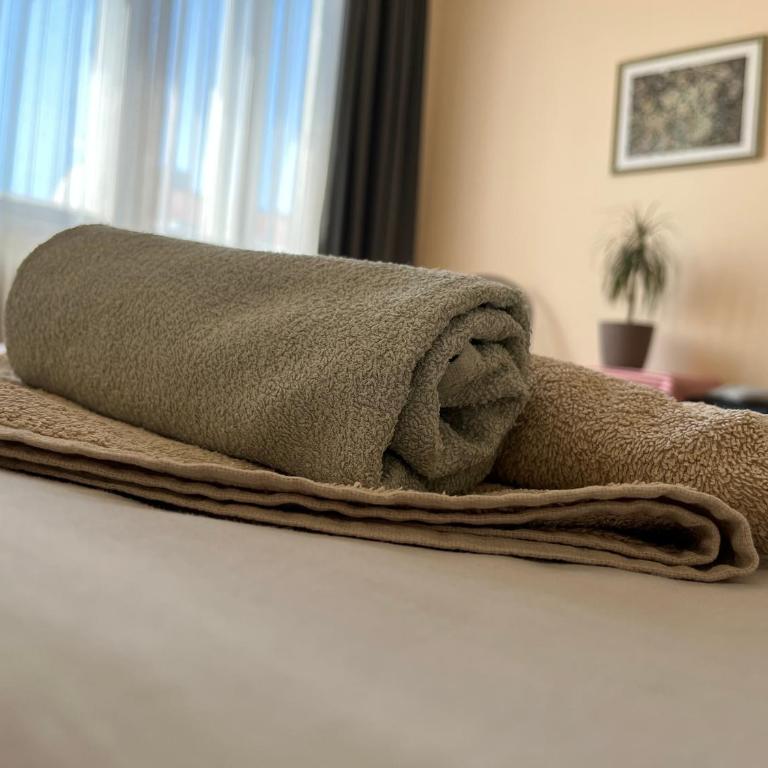 Terazije Square Lux Apartment - Apartman sa 3 Spavaće Sobe - 10