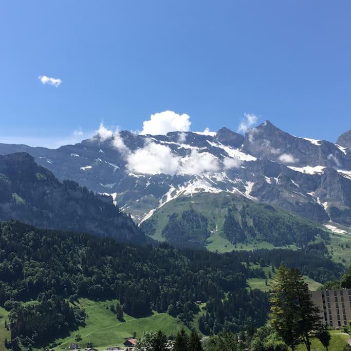 Sunny Design Chalet in Engelberg with spectacular view on Mount Titlis - Chalet de 3 dormitorios - 44