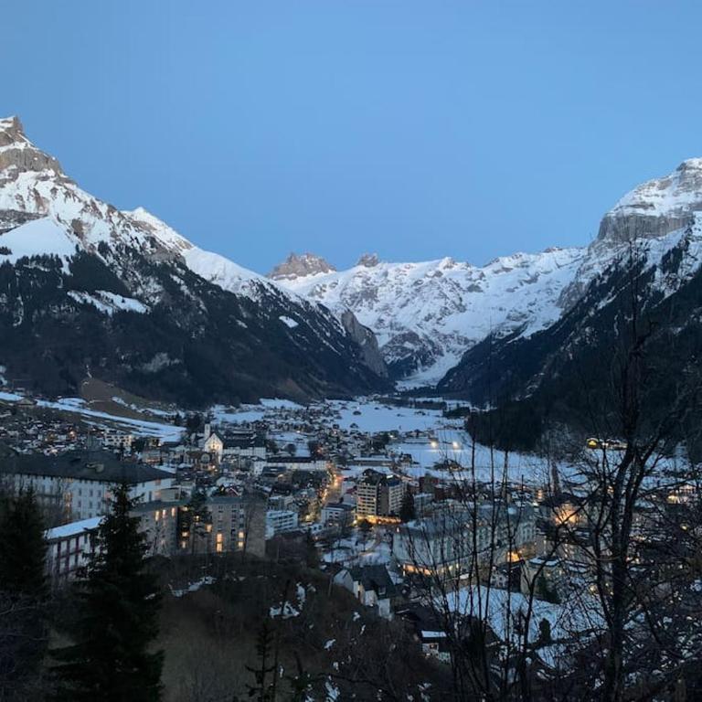 Sunny Design Chalet in Engelberg with spectacular view on Mount Titlis - Chalet de 3 dormitorios - 54