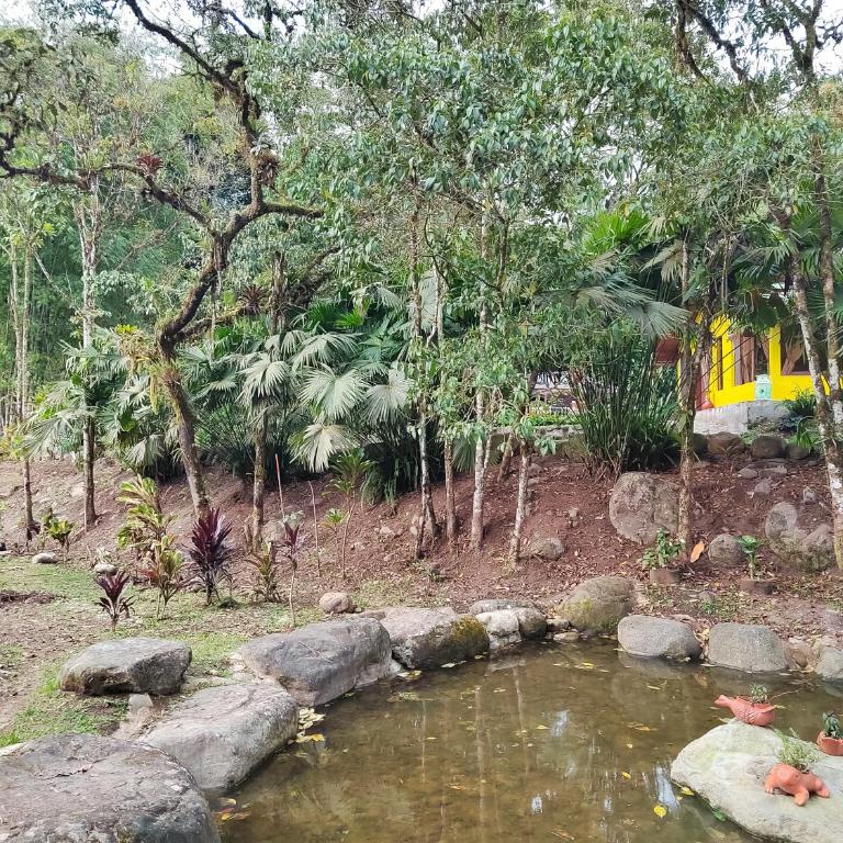 Senz Glamping - Mindo - Cottage - 19