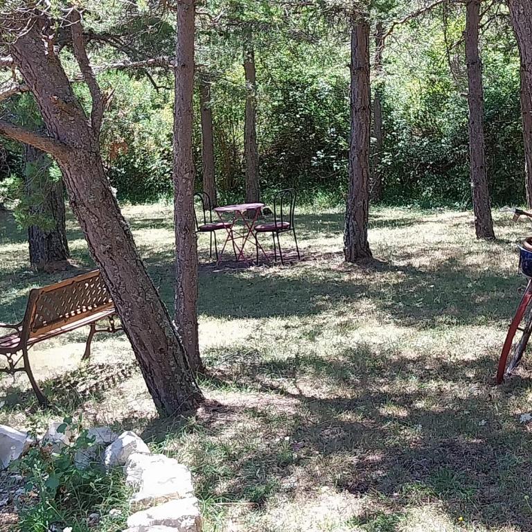 Petit studio dans la prairie - Chambre Lit King-Size - Vue sur Jardin - 4