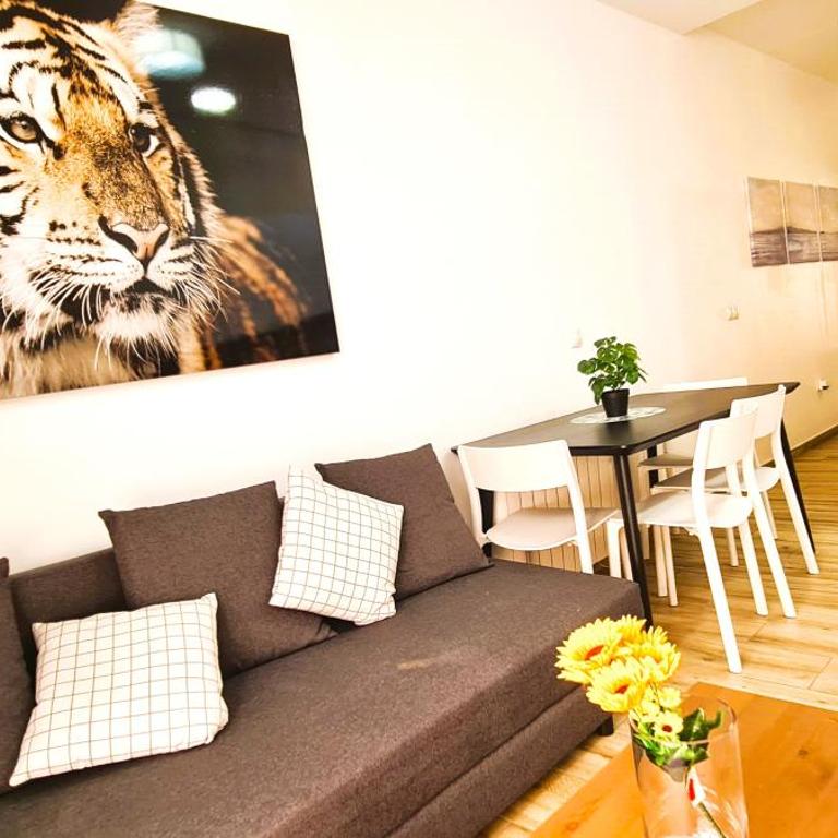 Oshun Plaza Castilla - One-Bedroom Superior Apartment - 5