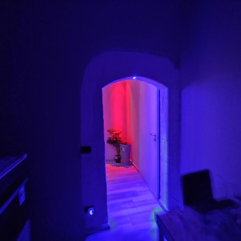 Suite Aurora Floreale - One-Bedroom Apartment - 30