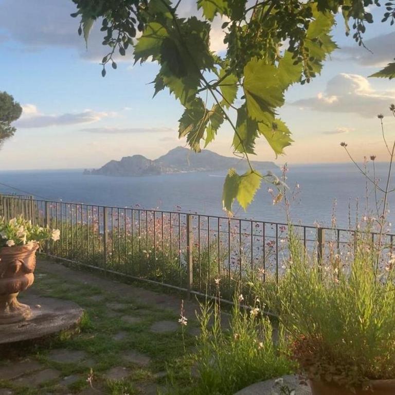 Villa Annunziata con piscina panoramica vista mare - Villa con Piscina Privata - 39