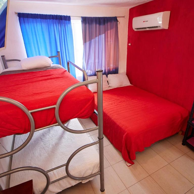 Hotel Casa Ceci Inn - Family Suite - 14