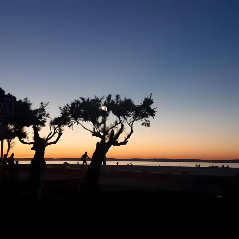 CoeurDeSable - Appartement T3 Hyper Centre Arcachon - Parking - Apartment mit 2 Schlafzimmern - 19