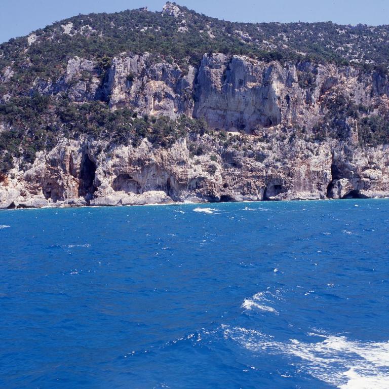 Splendida villa in riva al mare- - Villa Fronte Spiaggia - 7
