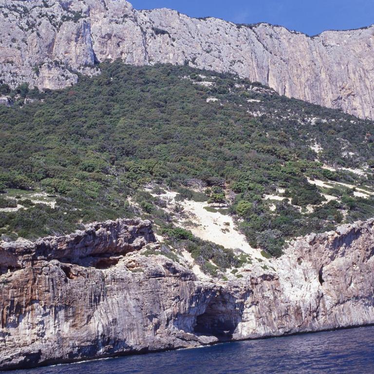 Splendida villa in riva al mare- - Villa Fronte Spiaggia - 61