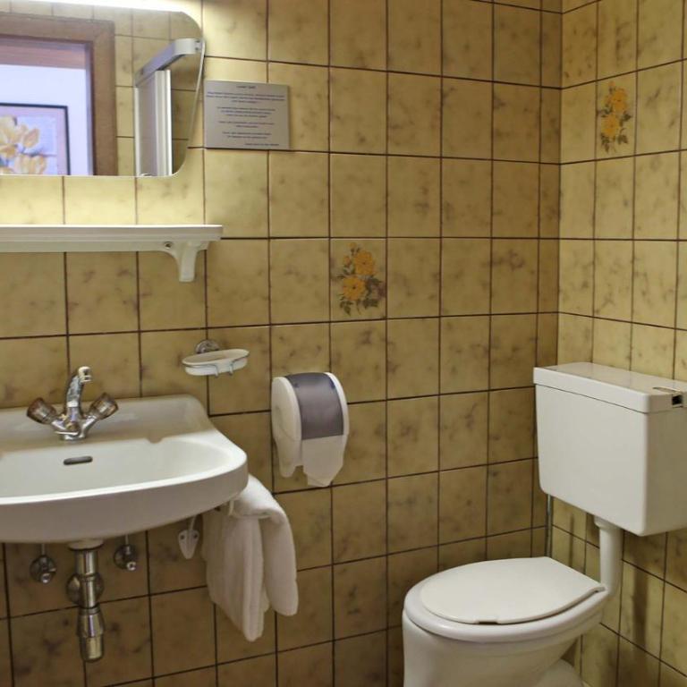Gasthof Pension Madseiterhof - Economy Doppelzimmer - 8
