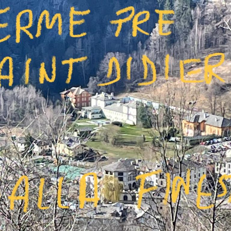 Courmayeur~navetta gratuita per il centro+impianti - Apartment mit 2 Schlafzimmern - 27
