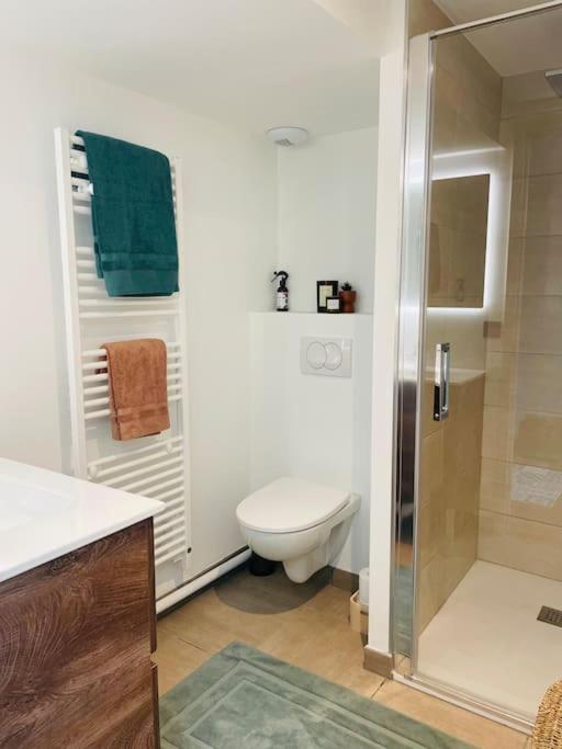 Domaine l’Ariondaz 1650, Charmant T2 - Apartment mit 2 Schlafzimmern - 12