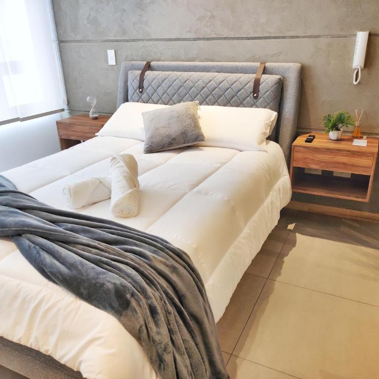 Charming Studio Quito Carolina Coliving Ecuador - One-Bedroom Apartment - 2
