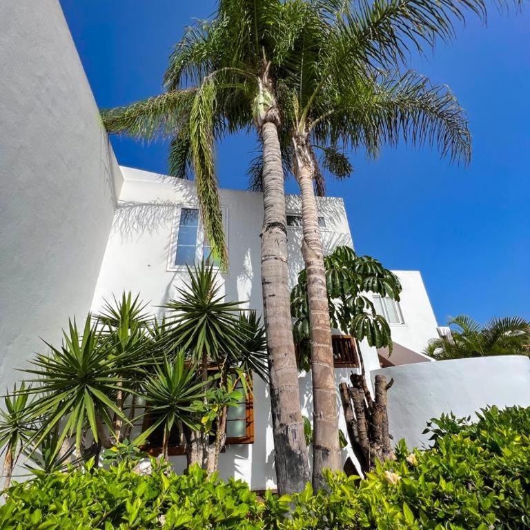 Apartament Malibu Blue - Apartamento de 1 dormitorio - 34
