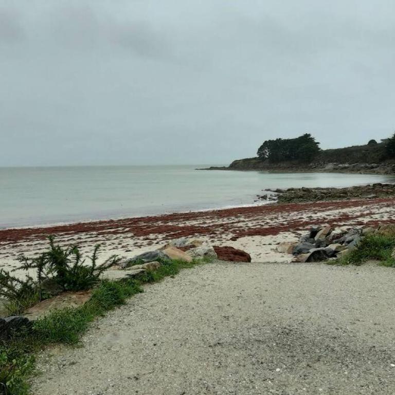 Résidence cap océan, Port du Crouesty - Appartement 1 Chambre - 20