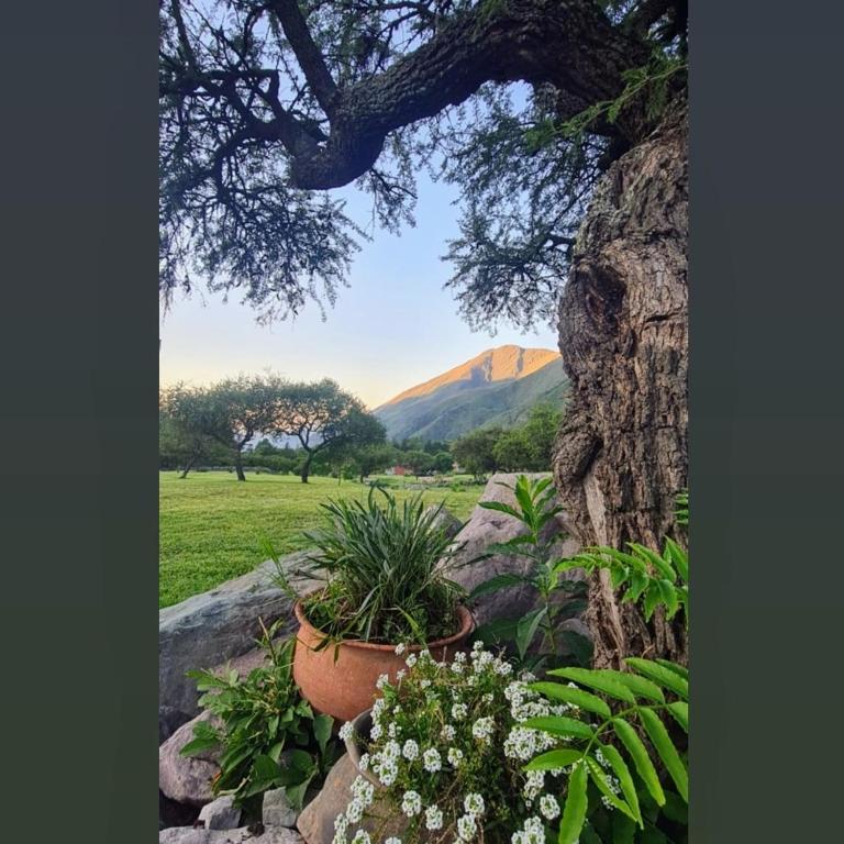 Reposo entre Montañas - Casa de 2 dormitorios - 22