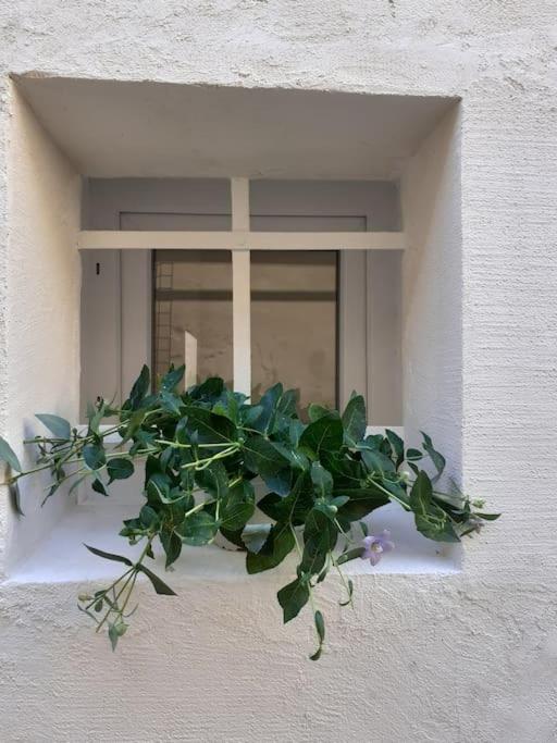 Casa Maergilù - Casa con 2 Camere da Letto - 7