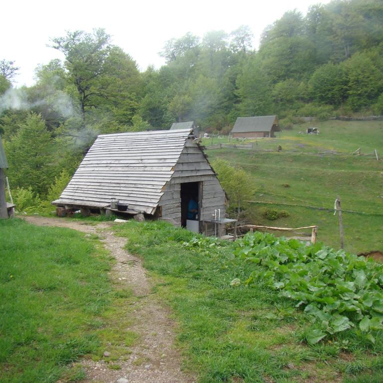 Eco Village Goles - Bungalov sa Pogledom na Vrt - 7
