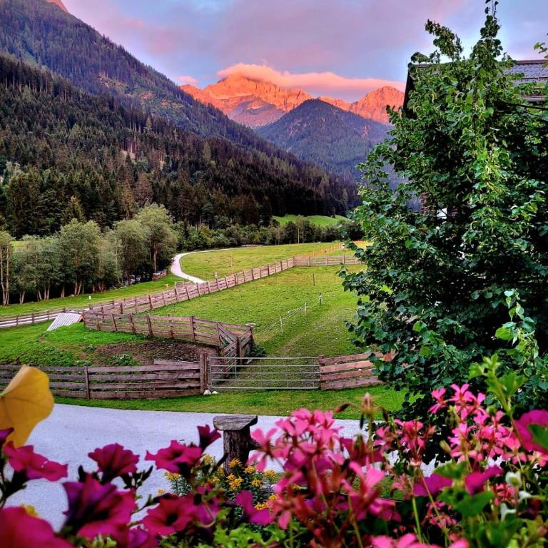 ARCHE Hof Öbristhof - Appartement avec Balcon - 4