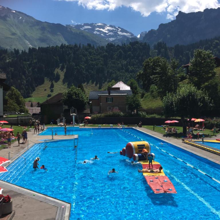Sunny Design Chalet in Engelberg with spectacular view on Mount Titlis - Chalet de 3 dormitorios - 60