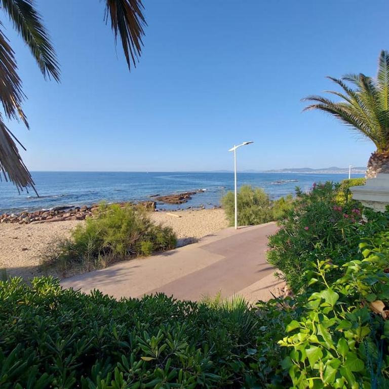 Studio jardin Piscine climatisatisation accès plage - Apartment mit 1 Schlafzimmer - 15