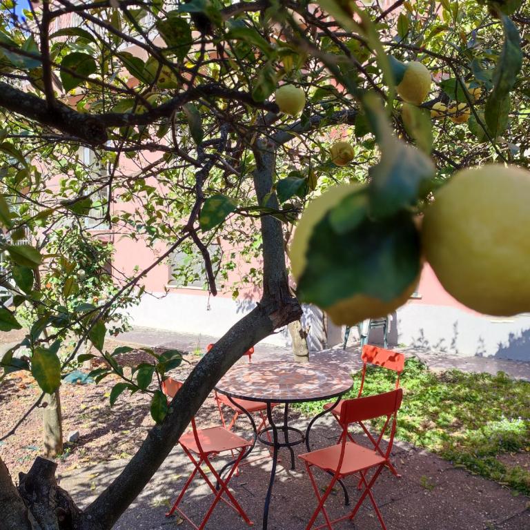 Apartment with private Garden - Appartamento con 2 Camere da Letto - 2