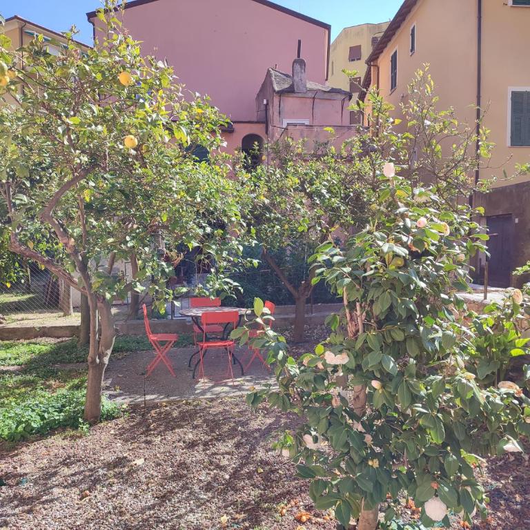 Apartment with private Garden - Appartamento con 2 Camere da Letto - 7