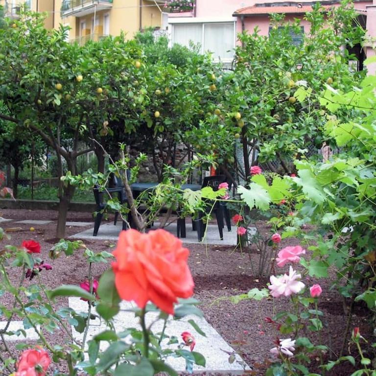 Apartment with private Garden - Appartamento con 2 Camere da Letto - 16