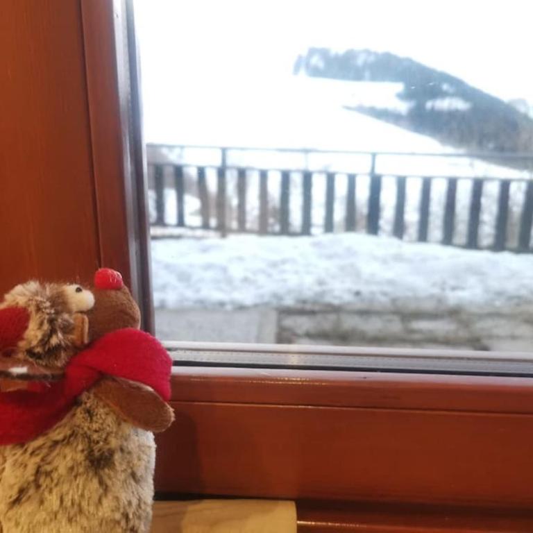 Il giardino sulle Piste - Appartamento con 3 Camere da Letto - 50