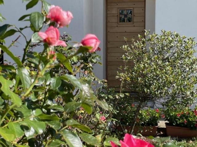 Gîte Au Coeur Du Noyau - Maison de Vacances - 64