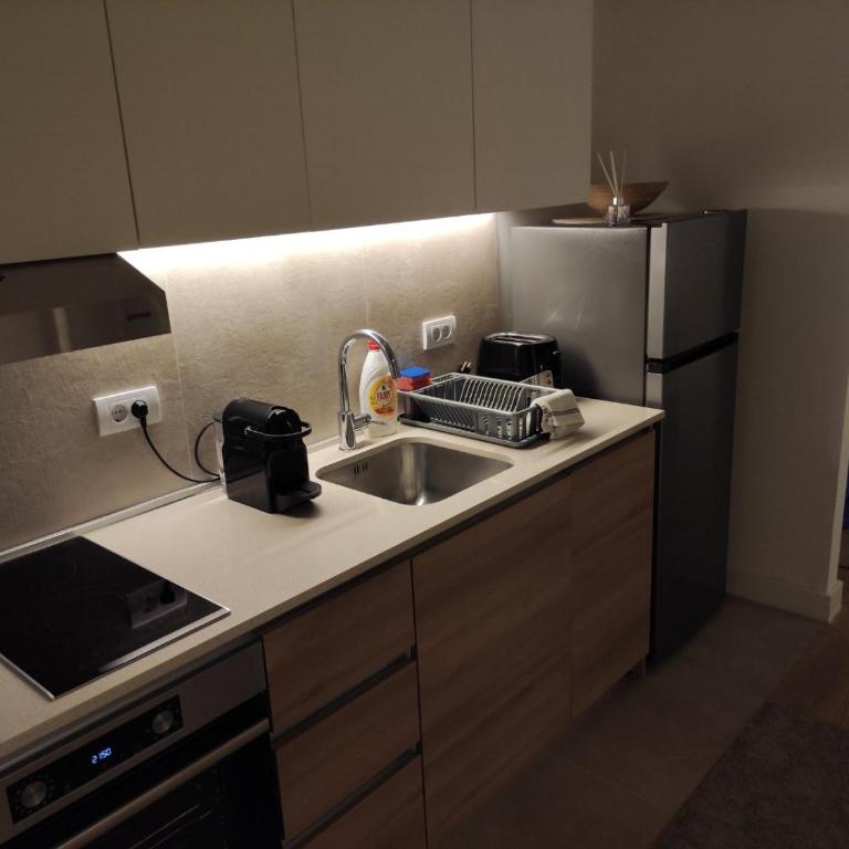 Belgrade Waterfront Comfortable Apartment - Studio sa Bračnim Krevetom (King-size) - 4