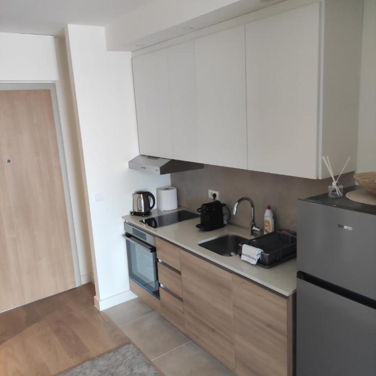 Belgrade Waterfront Comfortable Apartment - Studio sa Bračnim Krevetom (King-size) - 8