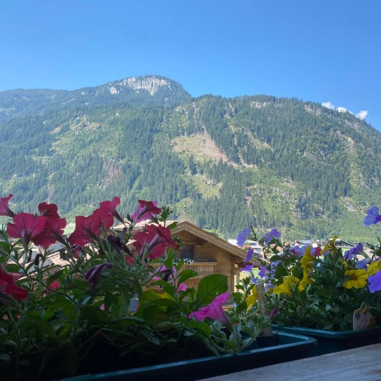 Pension Schwemberger ohne Frühstück - Doppelzimmer - 10