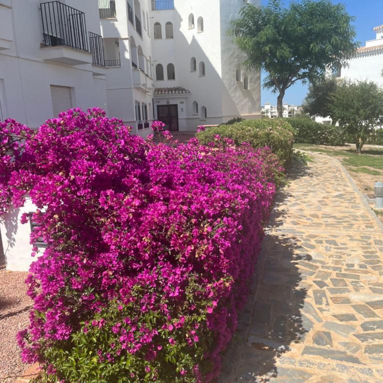 La Casa Rosita, Hacienda Riquelme Golf Resort Sucina - Apartamento de 2 dormitorios - 4