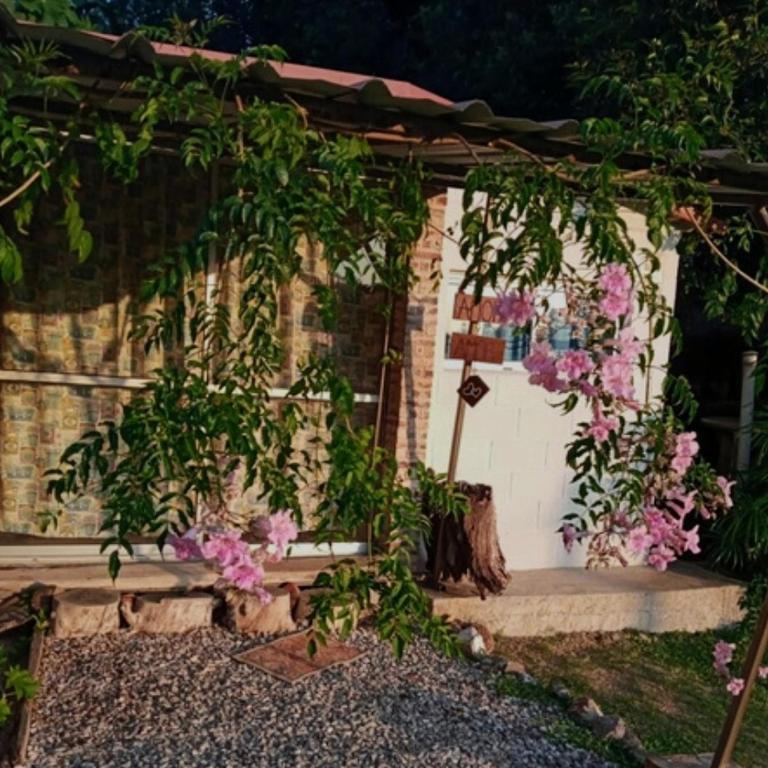 Amor amor - One-Bedroom House - 24