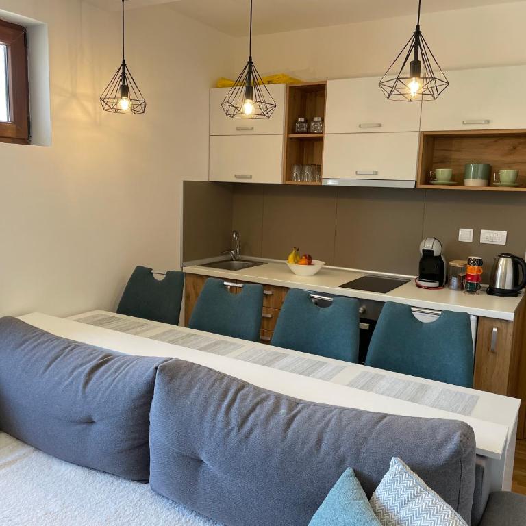 Apartman Bela Reka Zlatibor - One-Bedroom Apartment - 19