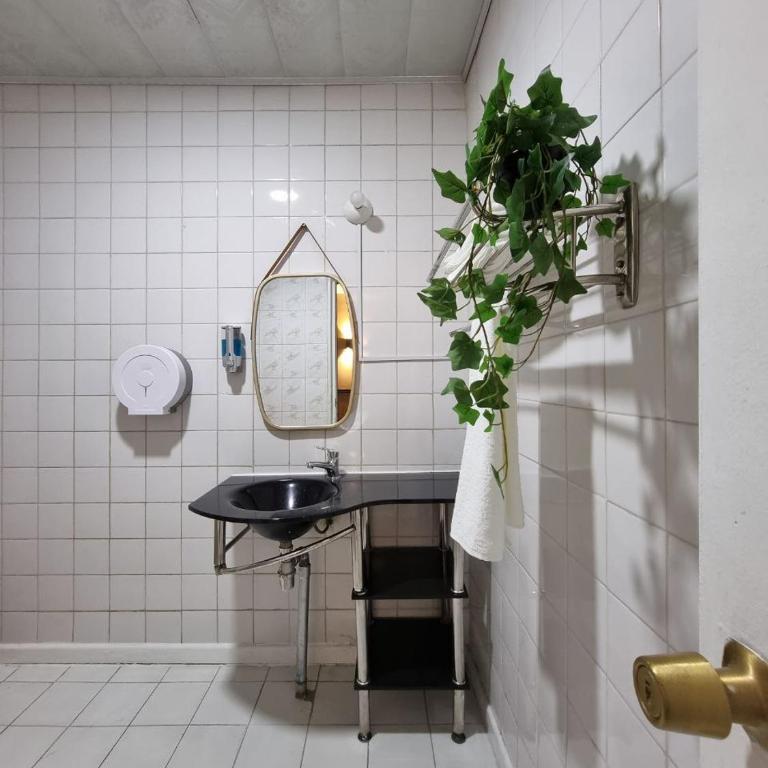 Hotel Asturias - Budget Double Room - 2