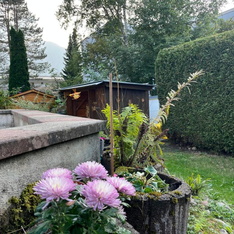 Alpina Haus - Apartment - 52