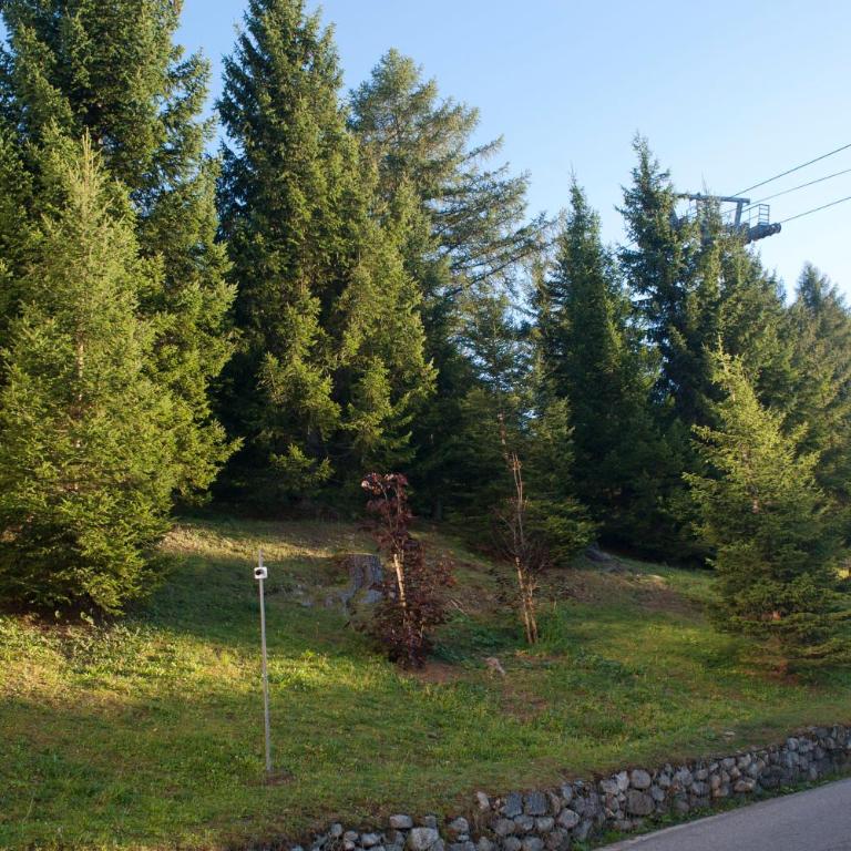 Ale 1206, Marilleva 1400 accesso diretto alle piste - Apartment mit 2 Schlafzimmern - 41