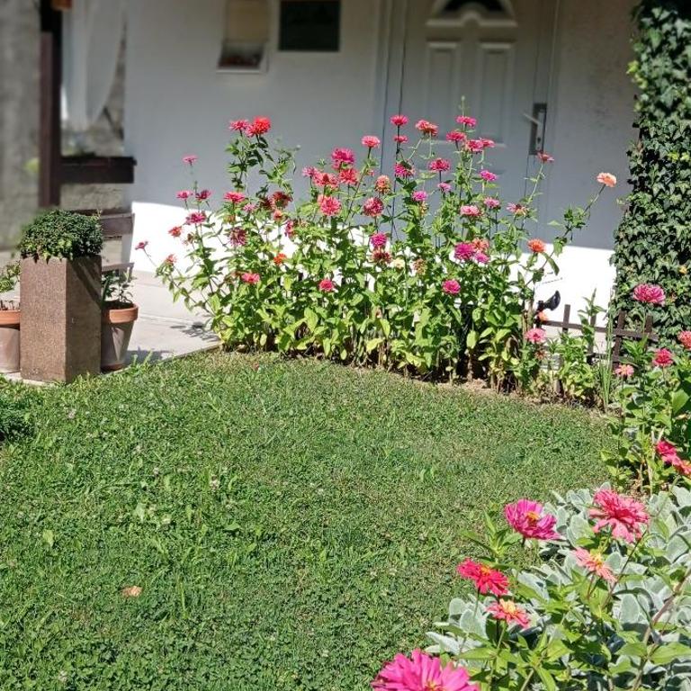 Holiday Home Casa Rondo - Vacation Home - 43