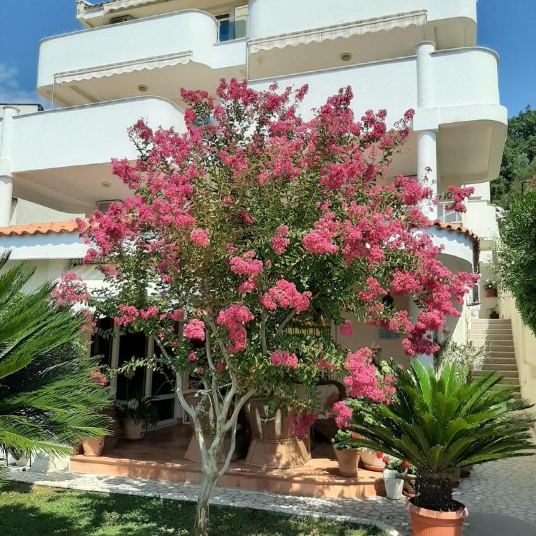 Apartments Villa Mare Mar - Studio s pogledom na more (2 odrasle osobe) - 3