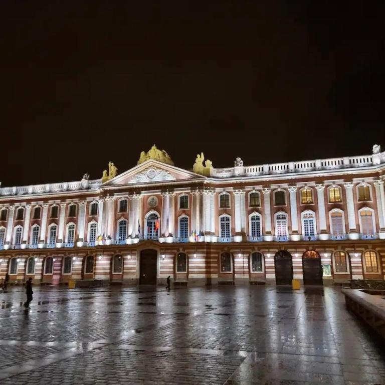 Séjour pro ou étudiant - wifi fibre, parking privé, check-in autonome, proche universités & hôpitaux Rangueil - One-Bedroom Apartment - 19