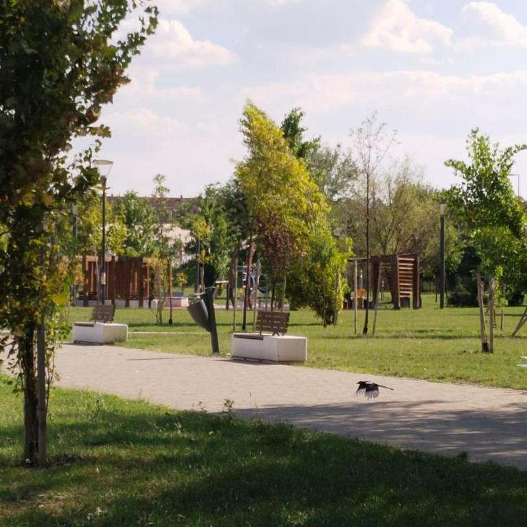 Stan na Dan "Cherry" - Apartman sa 1 Spavaćom Sobom - 20